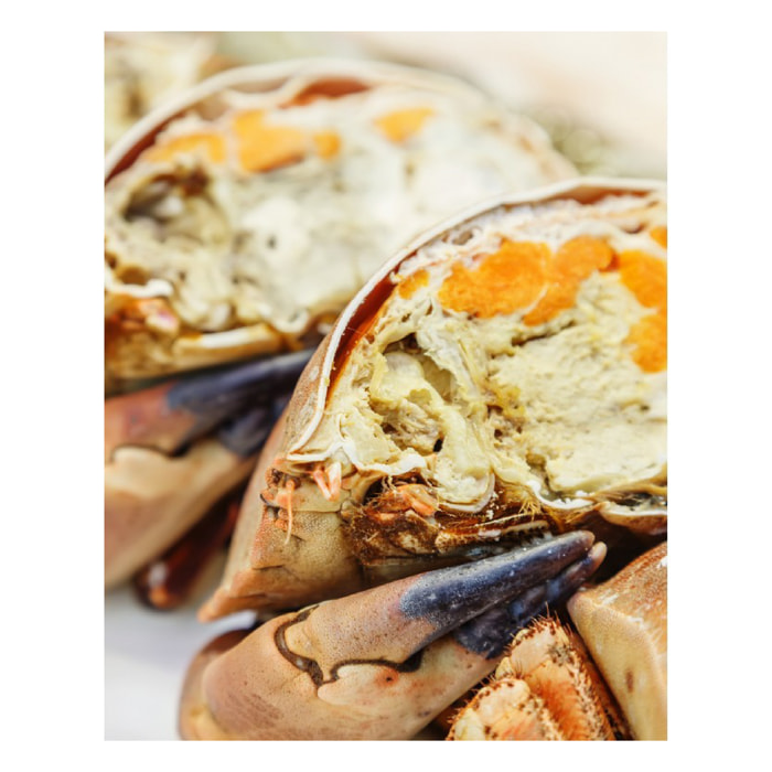 1/2 Tourteau cuit - 300g - Atlantique Nord Est