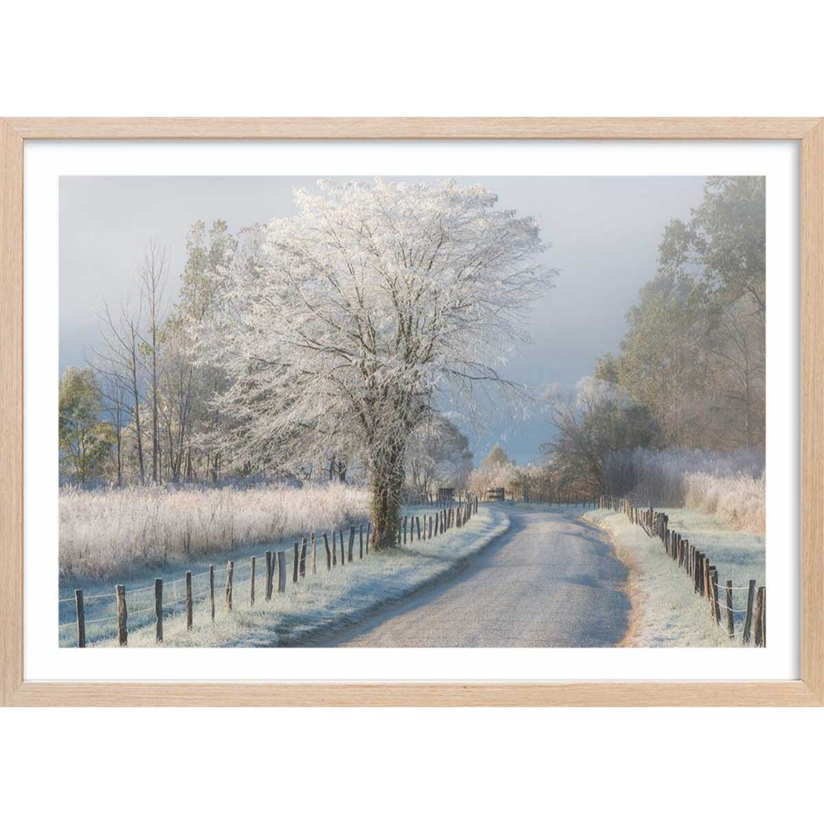 Affiche paysage Un matin glacial Affiche + cadre en bois - Chêne