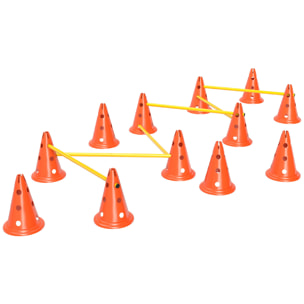 Set d'obstacles agility 12 cônes 6 piquets pour chien sac transport inclus