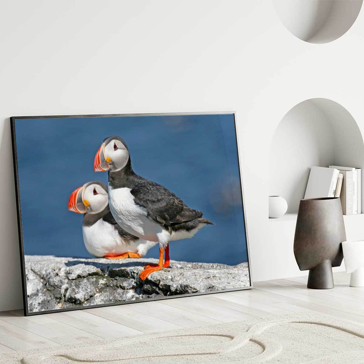 Affiche encadrée macareux sur rocher Affiche + cadre en métal - Noir