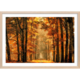 Affiche paysage magie de l' automne Affiche + cadre en bois - Chêne