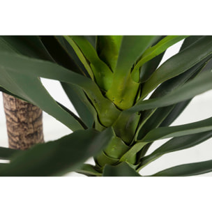 Planta Yucca Con Maceta 70x70x250 Cm