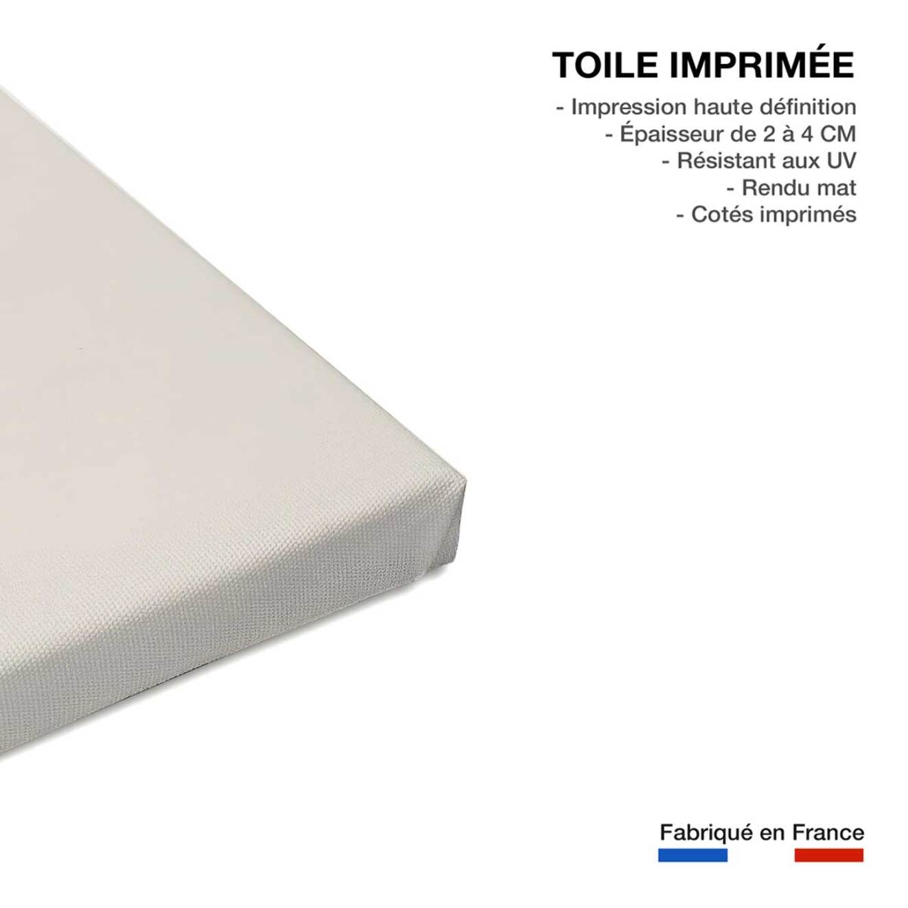 Tableau read my lips Toile imprimée