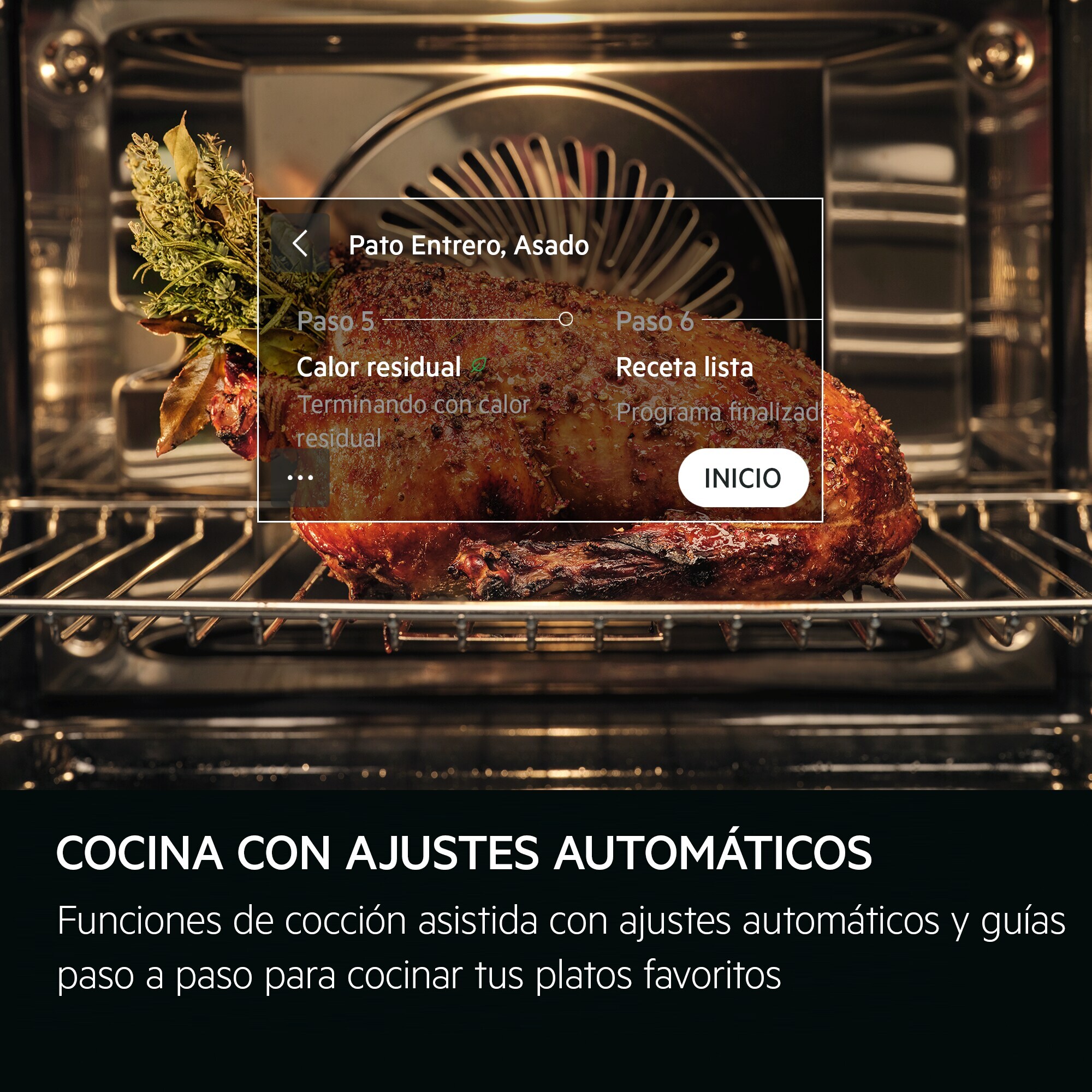AEG Horno compacto 8000 MealAssist con Display CookSmart Touch 4,3 '', con WiFi TK8NK721B