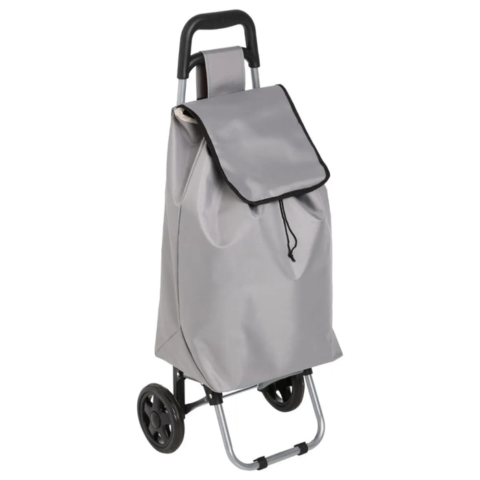 Chariot de courses 2 roues gris