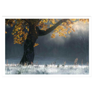 Affiche paysage Souffle d'hiver Affiche seule