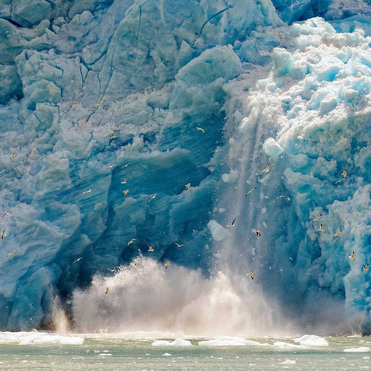 Tableau paysage iceberg Tableau alu Dibond