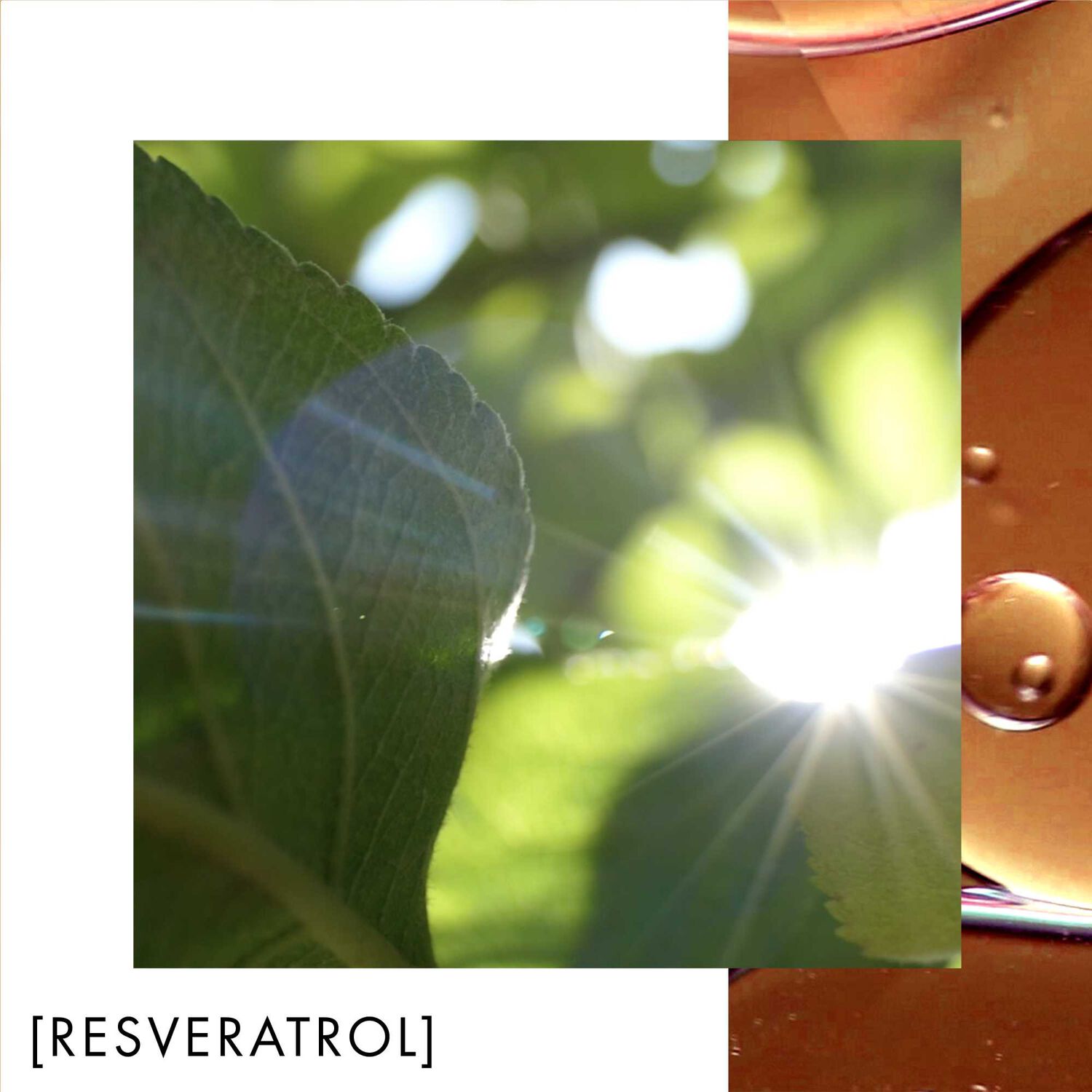 Blue Therapy Revitalize Night - Crème de Nuit Nutrition Et Éclat 50 ml