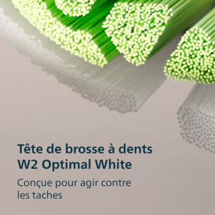 Brosse à dents électrique PHILIPS Sonicare 4100 Series HX4042/41