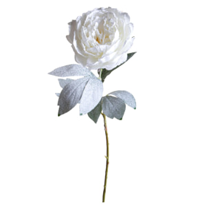 Peonia - Pezzi 12 - 20xH76x20cm - Bianchi Dino SpA