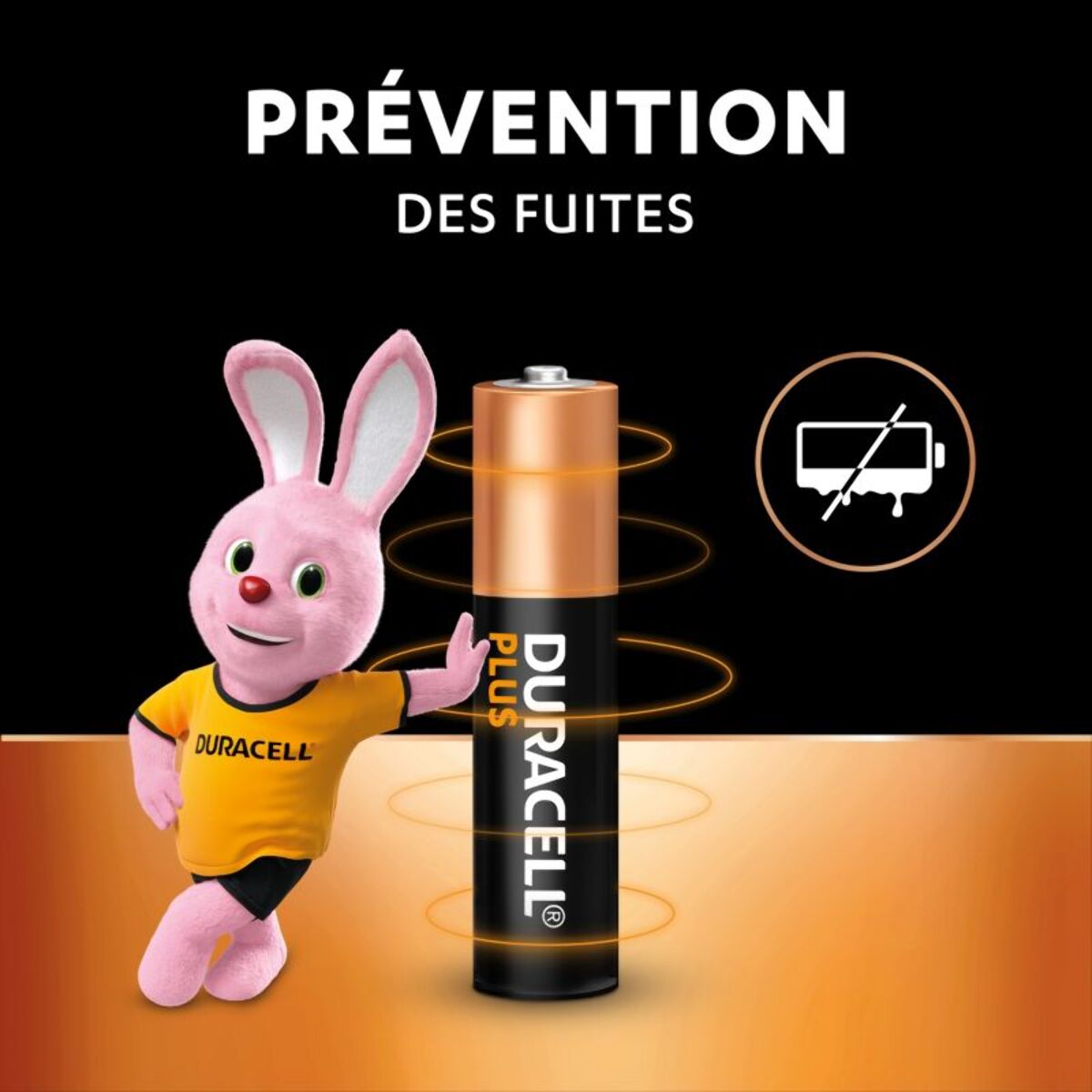 Pile DURACELL PLUS AA X24