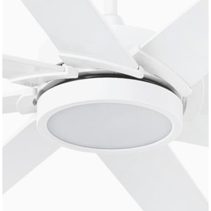 CENTURY XL LED ventilatore da soffitto bianco DC