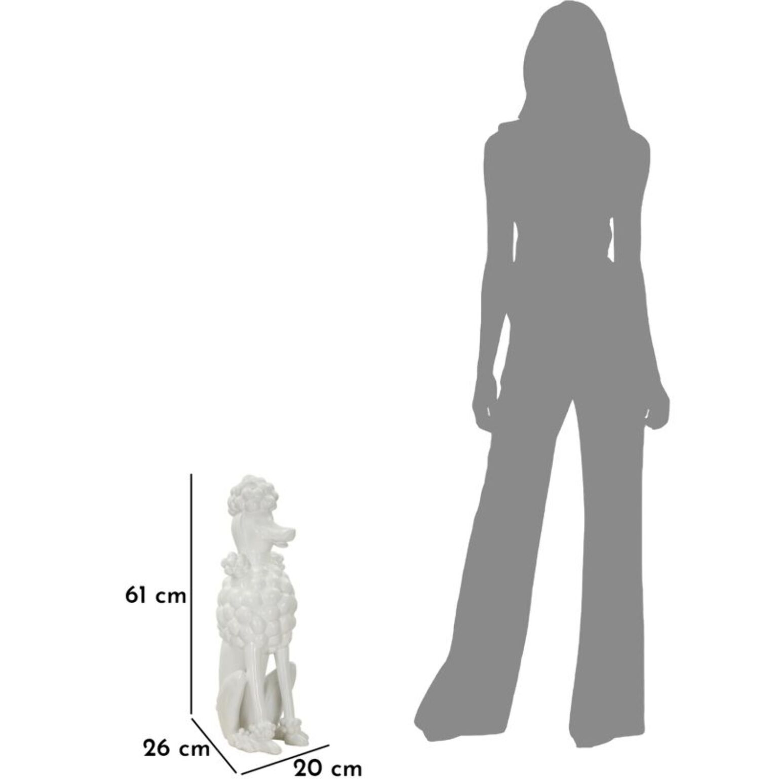 BARBONCINO WHITE CM 20X26X61
