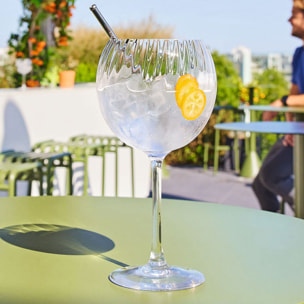 6 verres à pied ballon 58 cl