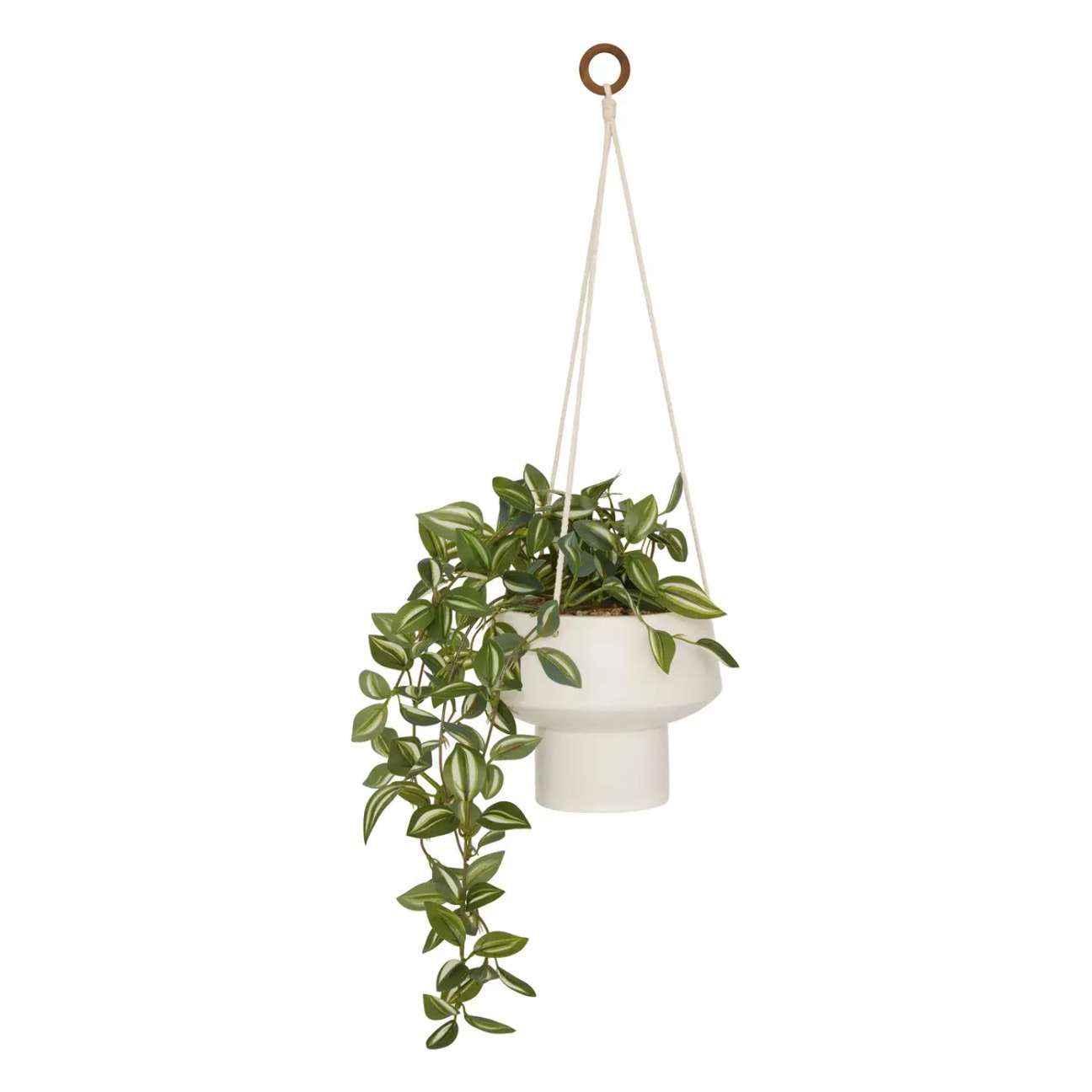Plante suspendue Homy H.80cm