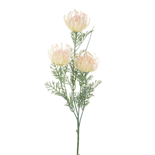 Protea Australiana per 3 fiori 56 Cm - Pezzi 6 - 8X56X8cm - Colore: Bianco - Bianchi Dino - Esotici