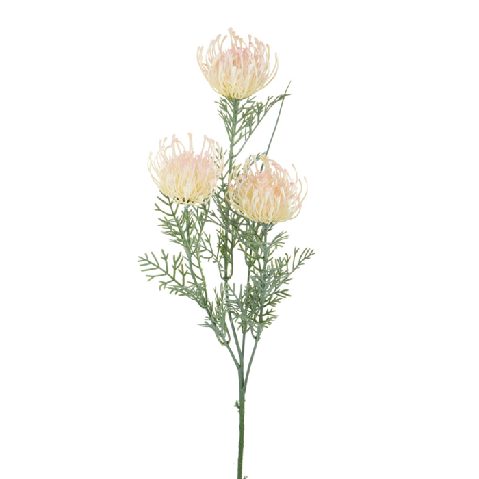 Protea Australiana per 3 fiori 56 Cm - Pezzi 6 - 8X56X8cm - Colore: Bianco - Bianchi Dino - Esotici