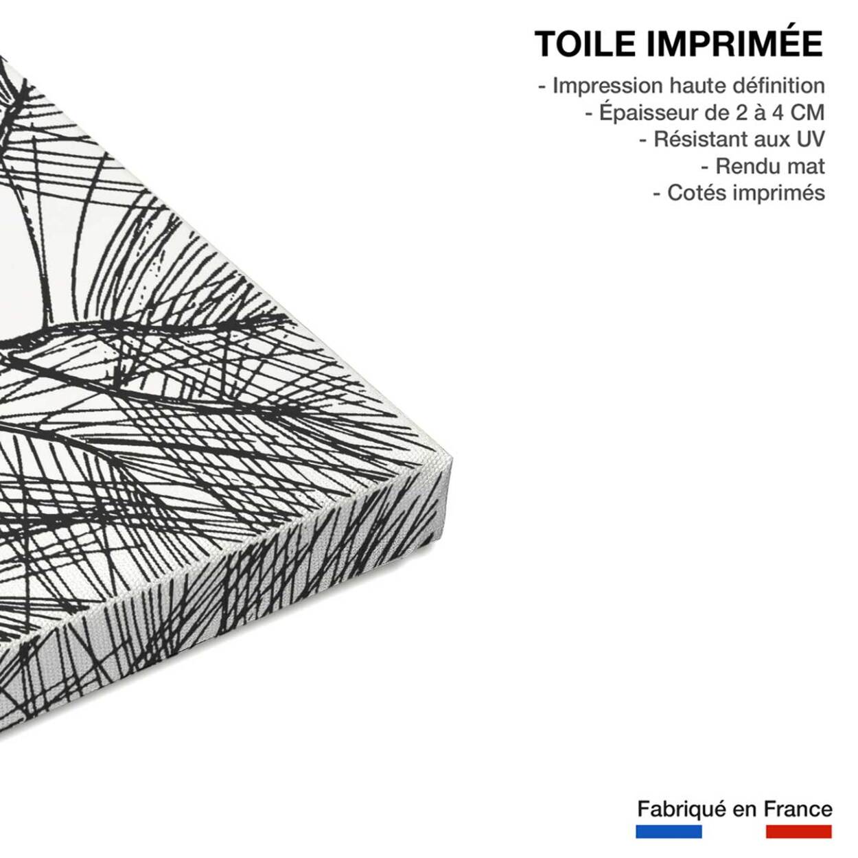 Tableau pigne des Landes Toile imprimée