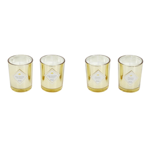 Bougie Parfumee Electroplate X4 Coffret Gingko