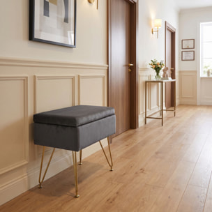 Panca Contenitore in Effetto Velluto con Seduta Imbottita e Vano Portaoggetti, Design Moderno con Gambe in Acciaio per Ingresso, Camera da Letto e Soggiorno