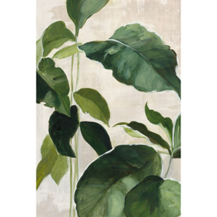 Tableau Aquarelle botanique Tableau plexiglas