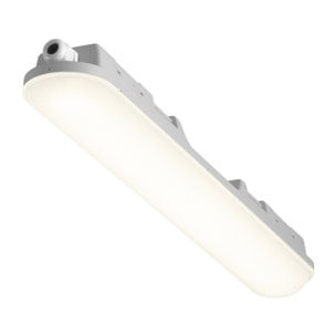 FORLIGHT Pop - Pantalla Estanca LED 16.1W de 56cm. Impermeable a Prueba de Polvo y Humedad IP65. Ideal para Garajes | Talleres