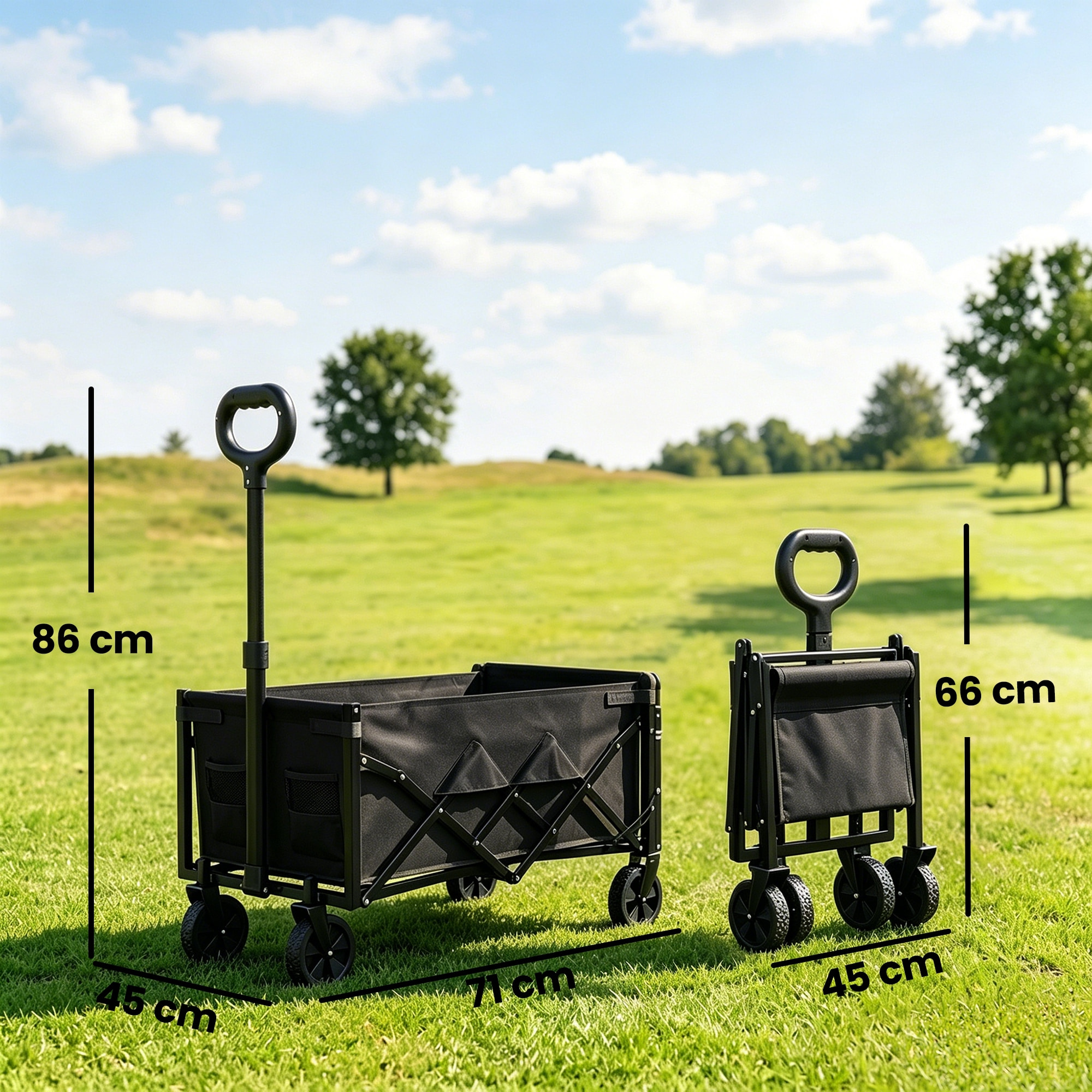 Chariot de transport pliable 60L porte arrière rabattable noir