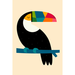 Tableau toucan Toile imprimée