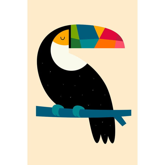 Tableau toucan Toile imprimée
