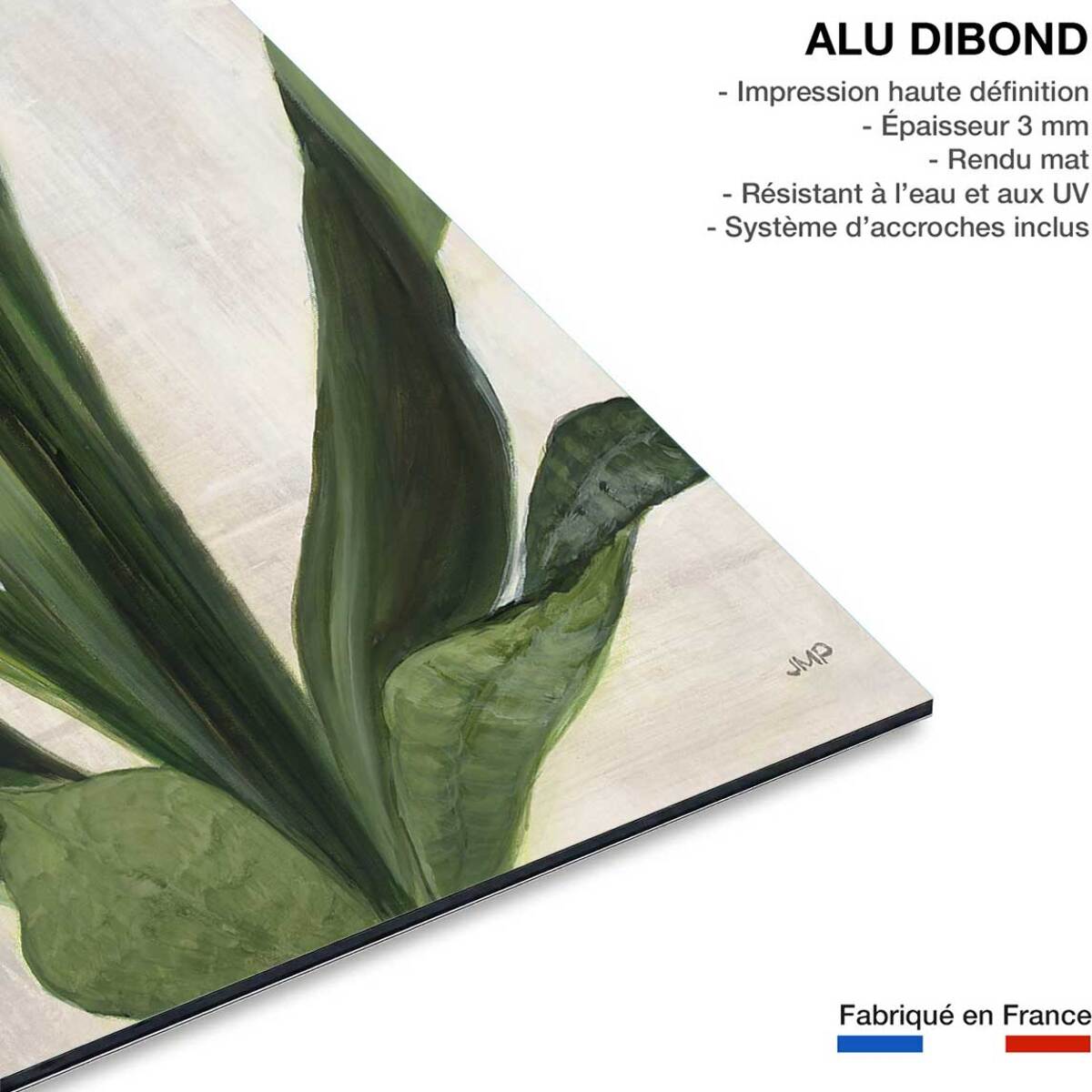 Tableau Sanseveria aquarelle Tableau alu Dibond