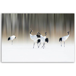 Tableau oiseaux Japanese crane Tableau alu Dibond