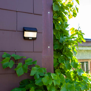 Applique murale solaire TRY SOLAR 500LM
