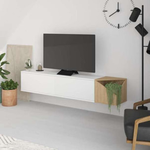 Mueble Tv Aulos 2 Puertas