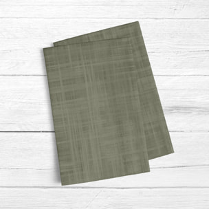 Lot de 2 torchons de cuisine Desert Sage
