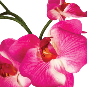 Composition d'orchidées artificielles vase céramique H46cm