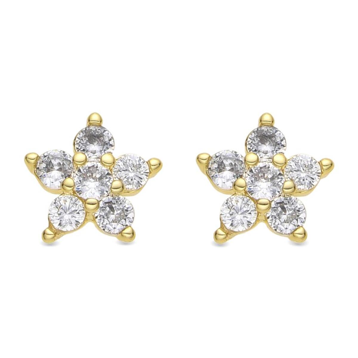 Pendientes acabado oro amarillo de 18k y Circonita Brillante