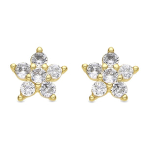 Pendientes acabado oro amarillo de 18k y Circonita Brillante