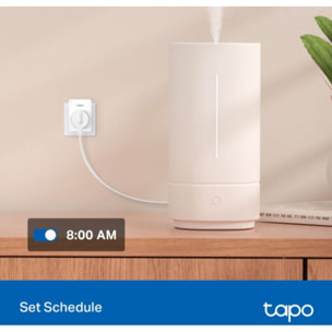 Prise connectée TP-LINK Pack de 2xTP11 wifi