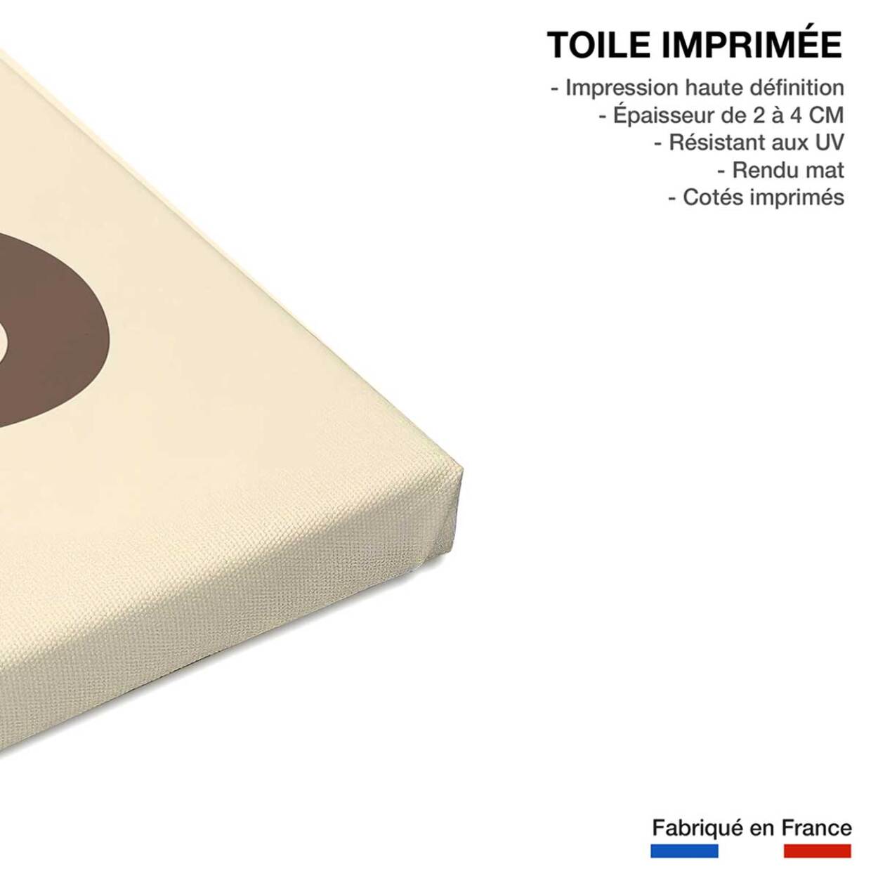 Tableau monkey banana Toile imprimée
