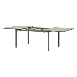 Table de jardin "Dilors" effet bois lin & vert laurier 10 places en aluminium