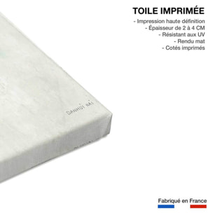 Tableau fleurs tropicale illustrée Toile imprimée