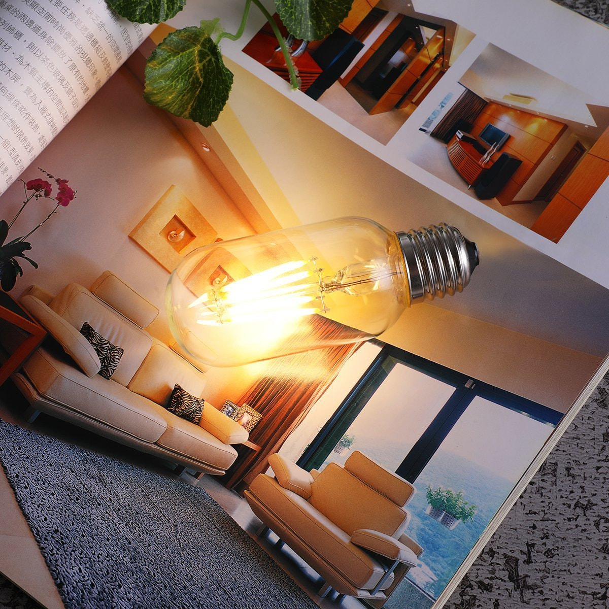 Lot de 10 ampoules filaments LED SEDNA E27 6W