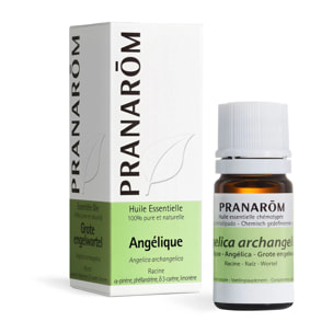 Pranarom - Huile Essentielle Angélique - 5 ml