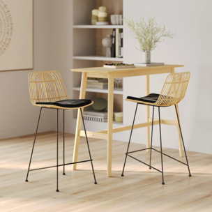 Lot de 2 chaises pour îlot central 66 cm en rotin et noir - Goa