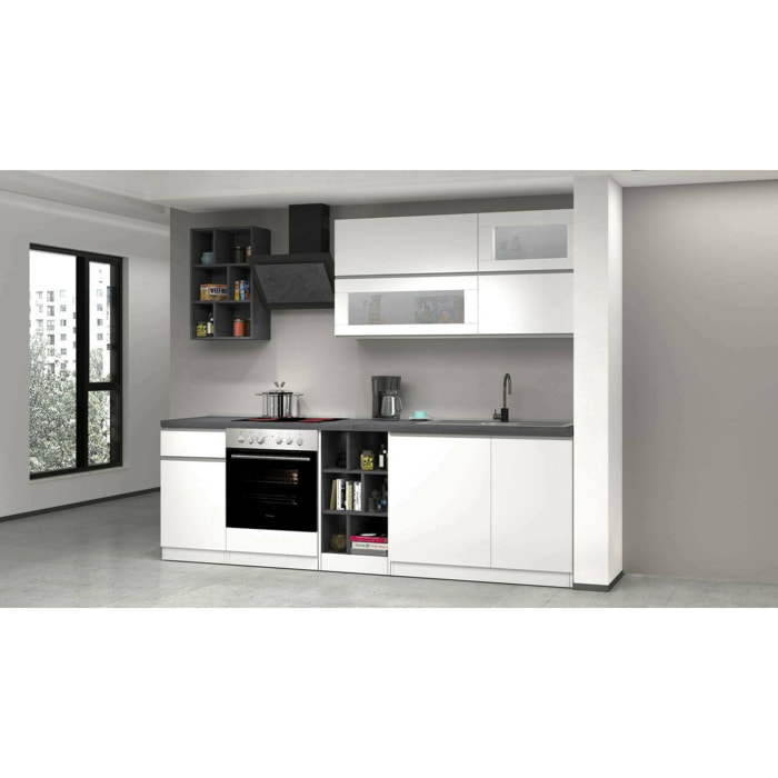 Cucina completa Fonti, Set con dispensa, Mobile per cucinotto, Kit blocco lineare, 100% Made in Italy, 255x60h85 cm, Bianco lucido e Ardesia