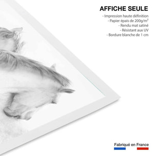 Poster chevaux blancs au crayon de bois Affiche seule