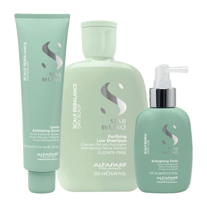 ALFAPARF MILANO Kit Semi Di Lino Exfoliating Scrub 150ml + Purifying Low Shampoo 250ml + Energizing Tonic 125ml