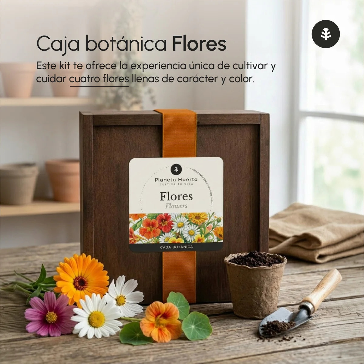 Kit de Cultivo de Flores en Caja de Madera – Regalo Original Planeta Huerto