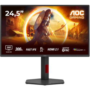 Ecran PC Gamer AOC Q25G4SR 25" QHD 300Hz Fast IPS HDR 400 Adaptive-Sync