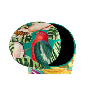 Pouf con contenitore Excelsa Havana